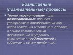 kognit1.jpg
